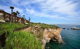 Inn At The Cove